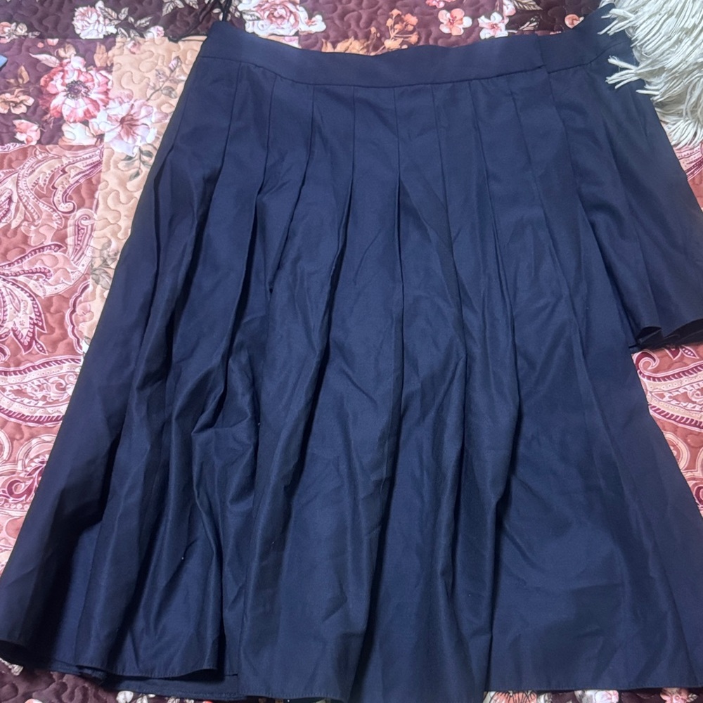 Elegant Navy Pleated Skirt